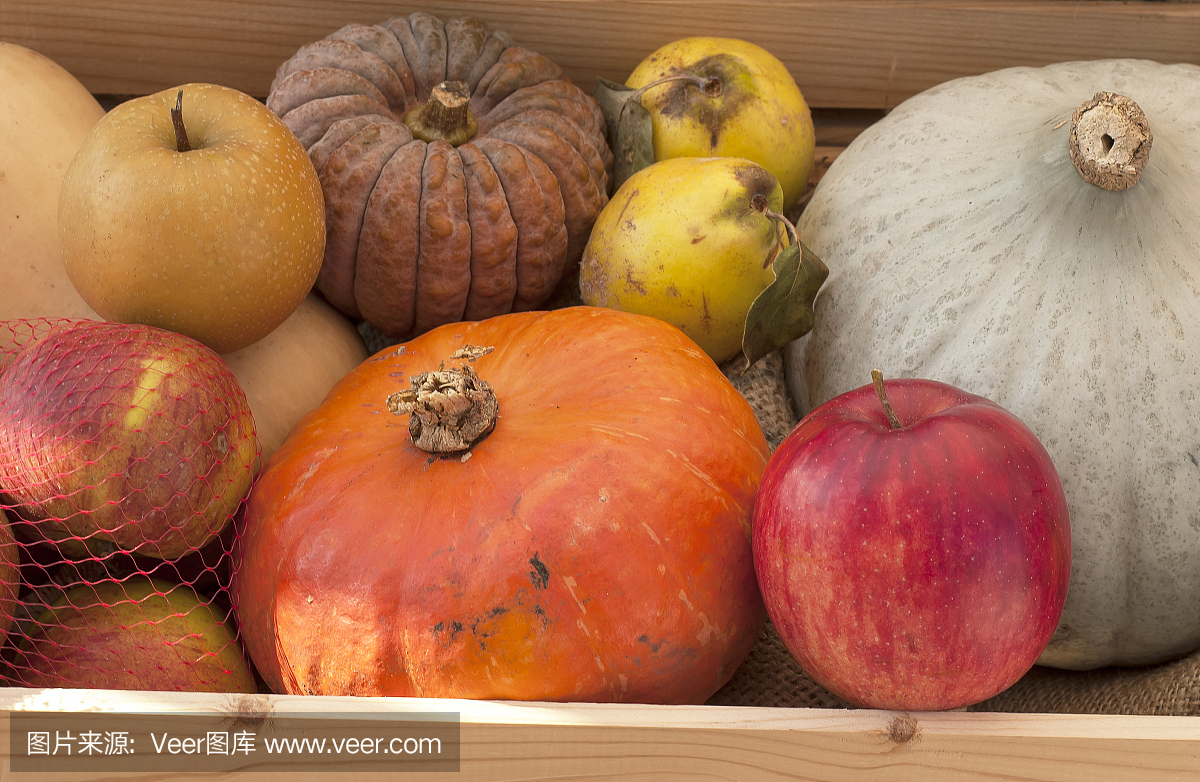 篮子里装满了秋季农产品
