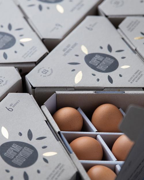 独特的鸡蛋包装设计符合当代农产品包装设计创新思路