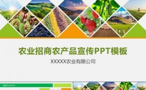 绿色食品安全招商农产品宣传农作物有机果蔬ppt模板