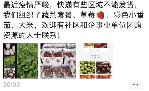 为什么上海农产品量足价稳却有人觉得 买不到 原因找到了
