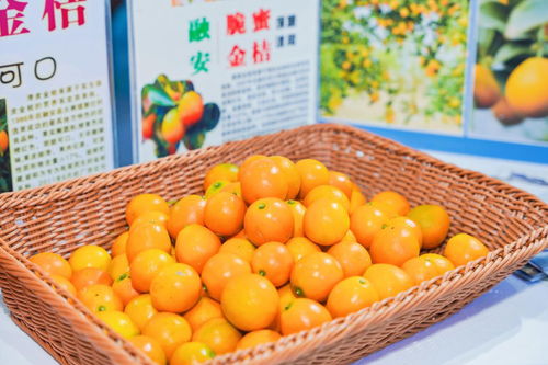广西农业品牌连续三年入围中国品牌百强榜