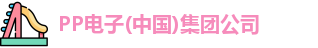 PP电子
